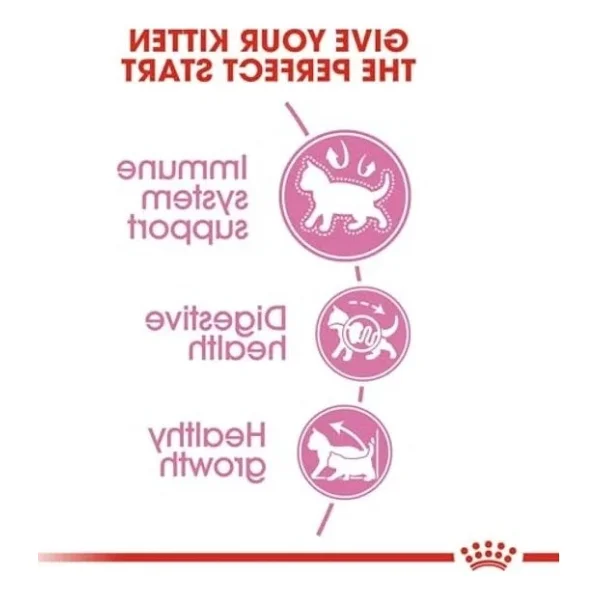 Royal Canin Kitten 2 Kg Yavru Kedi Maması - Görsel 5