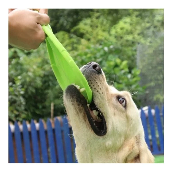 Silikon Frizbi Köpek Oyuncağı - Görsel 2