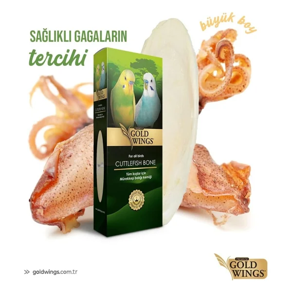 Gold Wings Premium Küçük Mürekkep Balığı Kemiği - Görsel 2