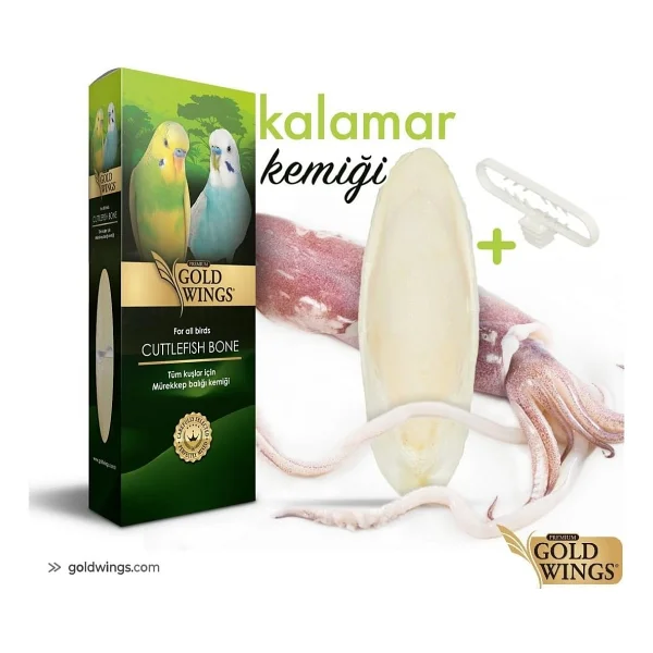 Gold Wings Premium Küçük Mürekkep Balığı Kemiği - Görsel 3