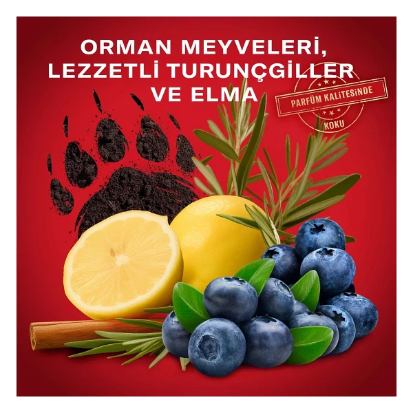 Old Spice Bearglove 50 Ml Erkek Stick Deodorant - Görsel 6