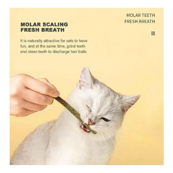 Tineke 6 Adet Doğal Meyve Aromalı Matatabi Çubuğu Catnip Stick Kedi Catnip Dalı Gall-Fruıt-Stick - Görsel 2