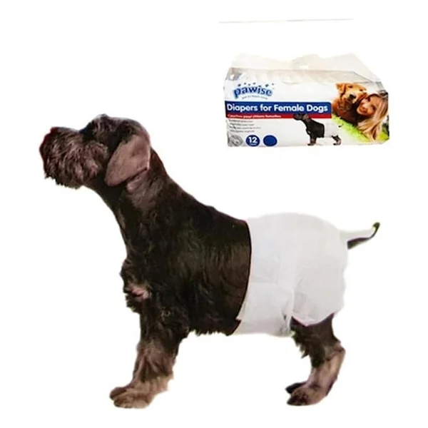 Pawise Köpek Alt Bağlama Bezi XL Boy 12 Adet - Görsel 2