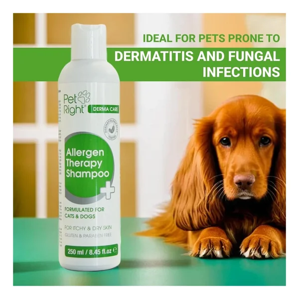 Pet Right Allergen Therapy Kedi Köpek Şampuanı - Görsel 2