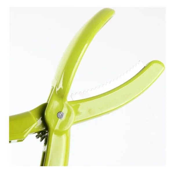 Evefix Kestane Çizici Chesnut Cutter - Görsel 3