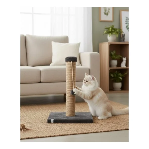 Reyo Pet Kedi Tırmalama Tahtası Antrasit 42 Cm - Görsel 4