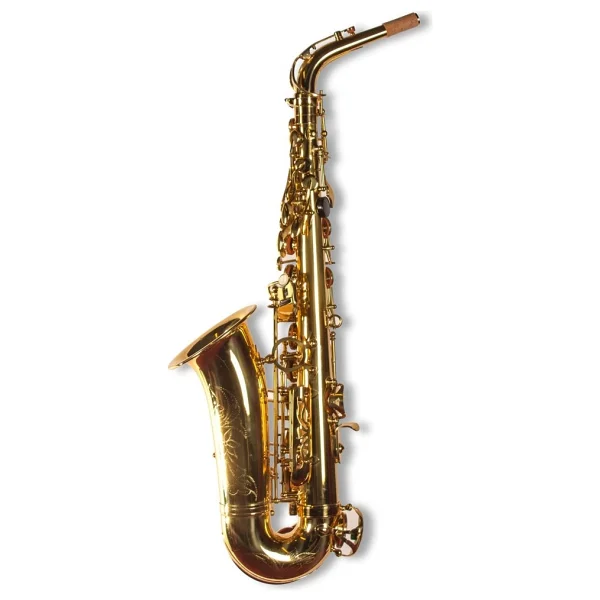 Bohemia Xal1001-C Alto Saksafon - Görsel 3