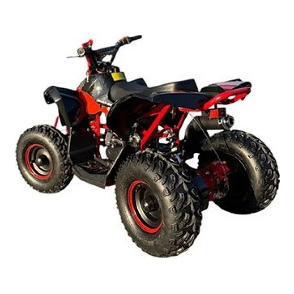 Skyjet Braves 110 107 Cc Atv Benzinli Motosiklet - Görsel 3