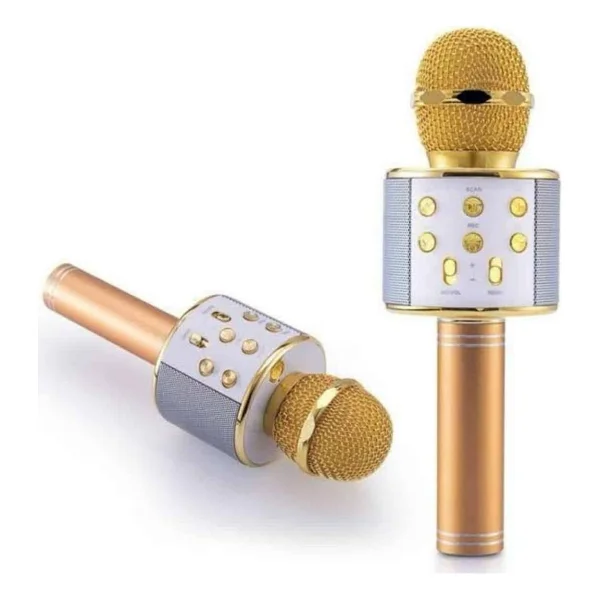 Teknodayım Karaoke Mikrofon Dahili Hoparlörlü Sd-USB-Aux Girişli Bluetooth Hoparlör - Çok Renkli - Görsel 5