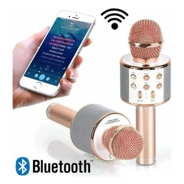 Teknodayım Karaoke Mikrofon Dahili Hoparlörlü Sd-USB-Aux Girişli Bluetooth Hoparlör - Çok Renkli - Görsel 2