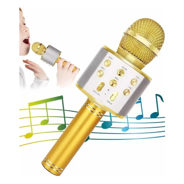Teknodayım Karaoke Mikrofon Dahili Hoparlörlü Sd-USB-Aux Girişli Bluetooth Hoparlör - Çok Renkli - Görsel 3