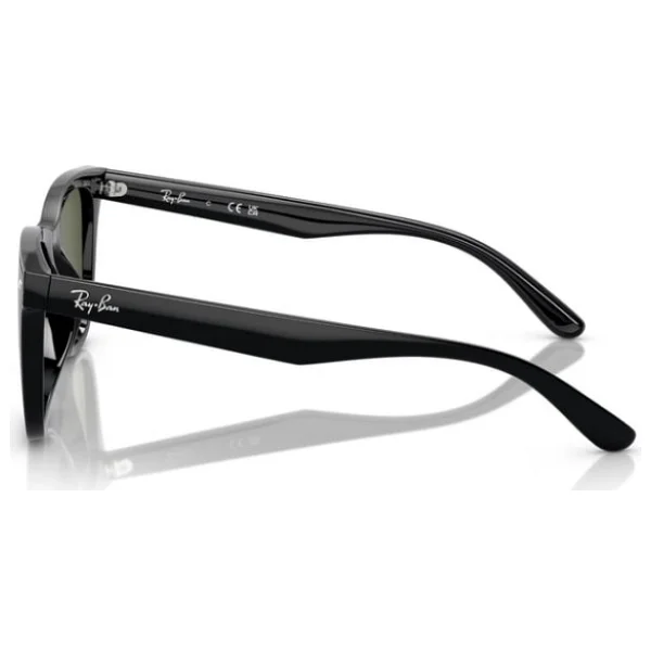 Ray-Ban 4420 Güneş Gözlüğü - Görsel 4
