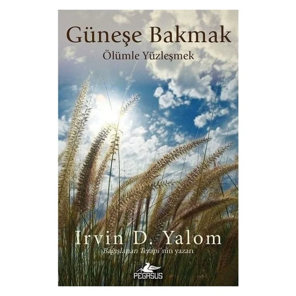 Güneşe Bakmak - Ölümle Yüzleşmek - Irvin D. Yalom - Görsel 2