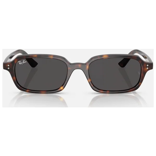 Ray-Ban Zuri 4455 Güneş Gözlüğü - Görsel 3