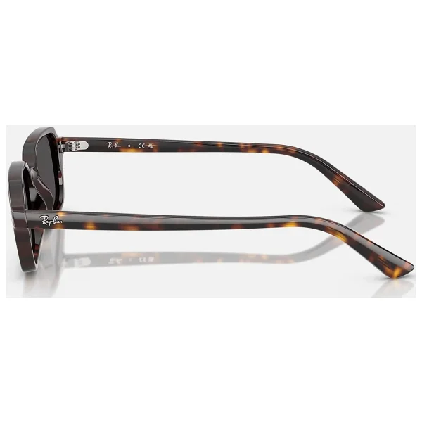 Ray-Ban Zuri 4455 Güneş Gözlüğü - Görsel 4