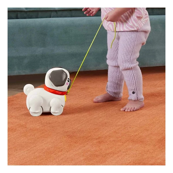 Fisher Price Minik Dostumla Yürüyüş Htw94 - Görsel 6