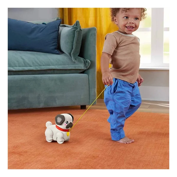 Fisher Price Minik Dostumla Yürüyüş Htw94 - Görsel 7