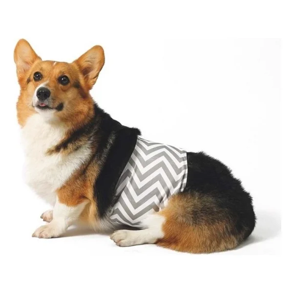 M-Pets Erkek Köpekler İçin Yıkanabilir Külot (M)