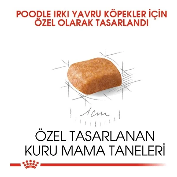 Royal Canin Poodle 3 Kg Yavru Köpek Maması - Görsel 3