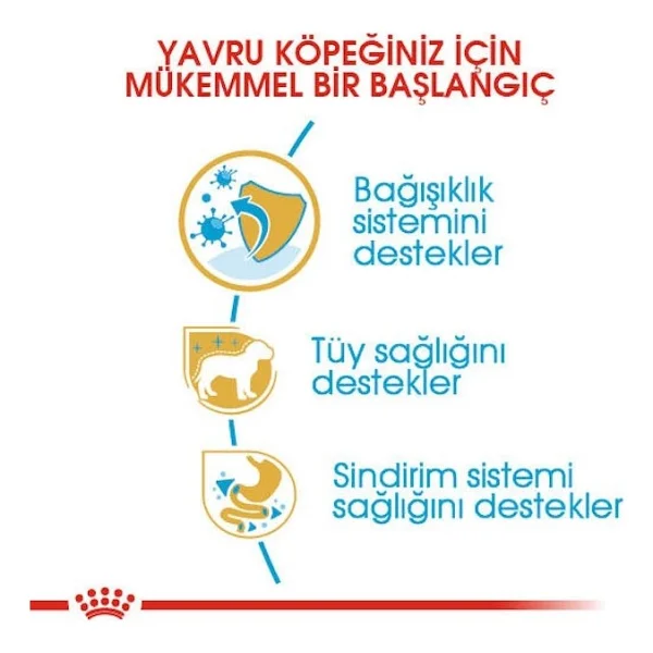 Royal Canin Poodle 3 Kg Yavru Köpek Maması - Görsel 4