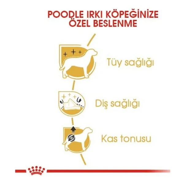 Royal Canin Poodle 3 Kg Yetişkin Köpek Maması - Görsel 4