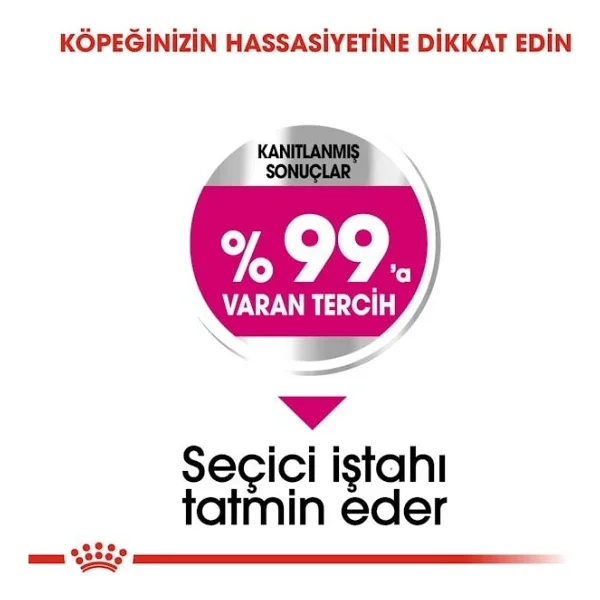 Royal Canin Ccn Mini Exigent Küçük Irk 3 Kg Yetişkin Kuru Köpek Maması - Görsel 4