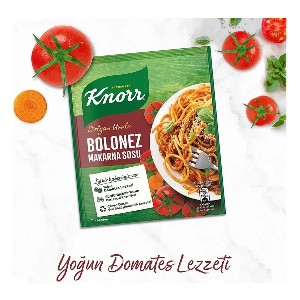 Makarna Sosu Italyan Usulü Bolonez 45 G - Görsel 4