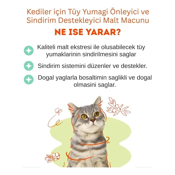 Biofeline 100 Gr Malt Kedi Macunu - Görsel 4