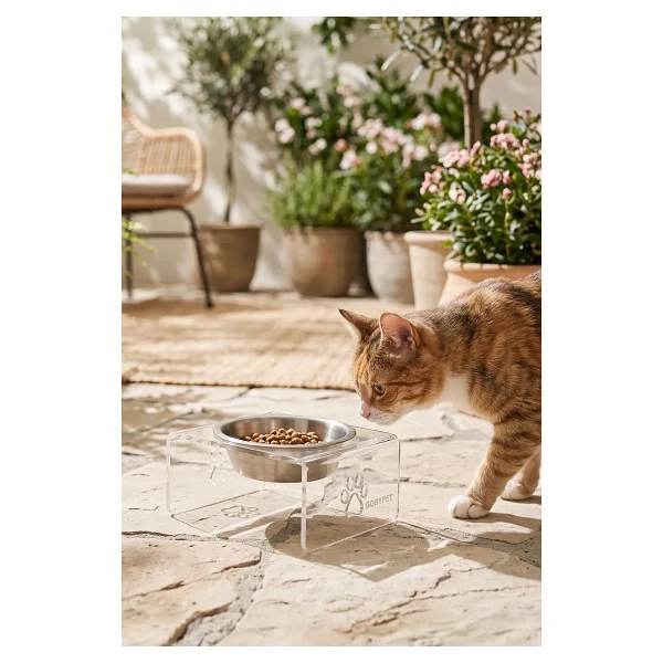 Gobypet Kedi Ve Köpek Dekoratif Tekli Seramik Pleksi Mama & Su Kabı Kedi Paspası - Görsel 7