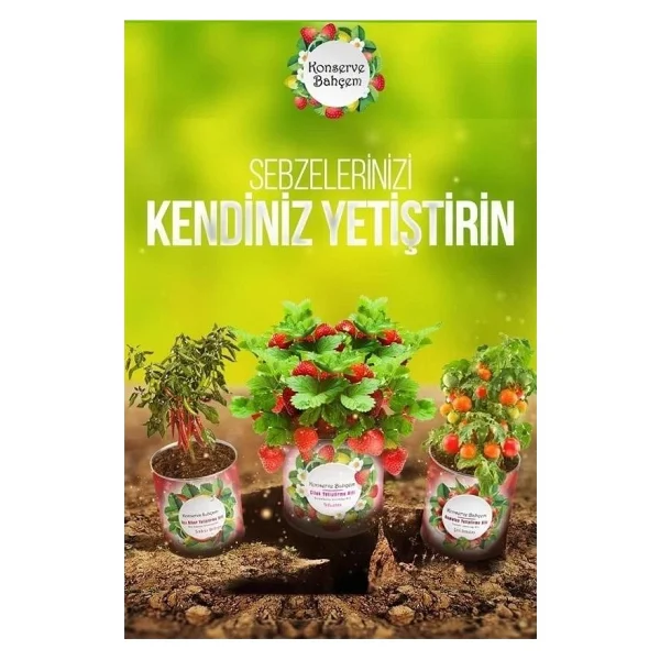 Konserve Bahçem Evde Konservede Sakız Kabak Yetiştirme Kiti - Görsel 2