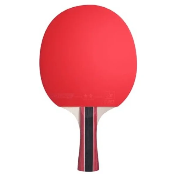 Cornilleau Sport 300 Ittf Onaylı Masa Tenisi Raketi - Görsel 3