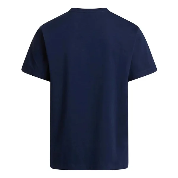 The North Face Evolution Simple Dome Nf0a8cz28k21 Lacivert Kısa Kollu Bisiklet Yaka Erkek Tişört - Görsel 4