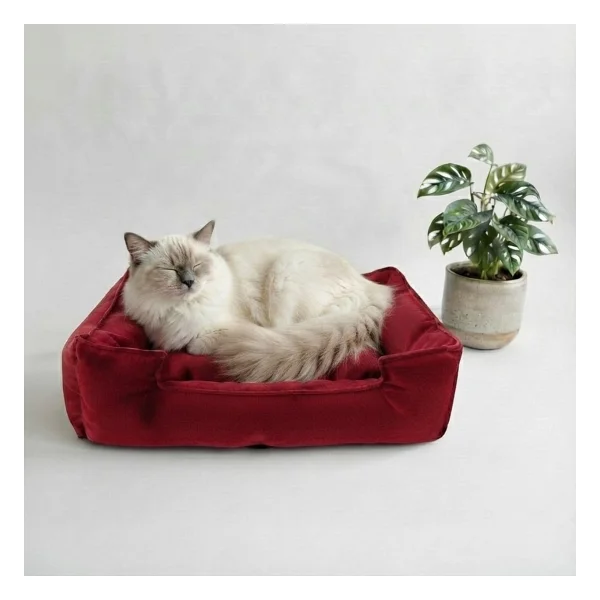 Brt Pet Kedi Yatağı 60x45 Cm Yıkanabilir Küçük Irk Köpekler Için Rahat Kullanım - Kırmızı - Görsel 2