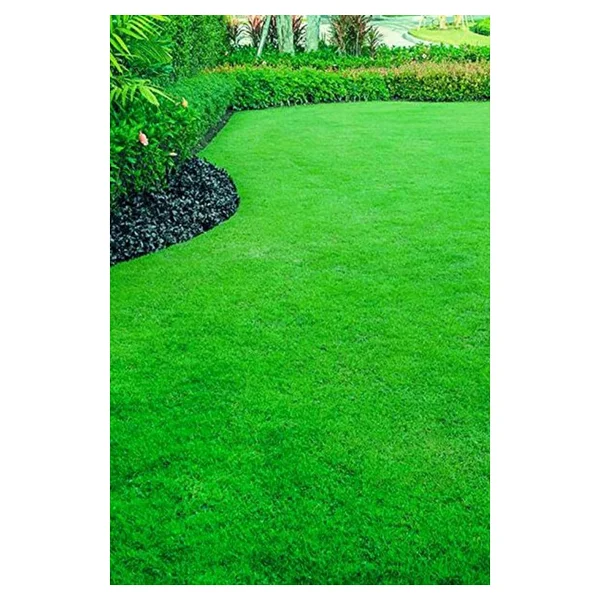 6'lı Karışım İthal Çim Tohumu - Grass Mıxture - 6'lı Mix - 10 Kg - Görsel 2