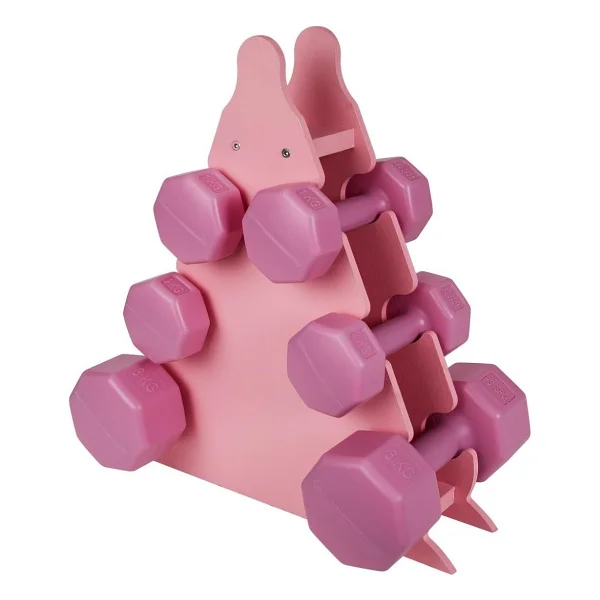 Psspor 3 Set Pembe Renk Dambıl Seti + Stand ( 2 Adet 1kg - 2 Adet 2kg - 2 Adet 3kg + Stand) - Görsel 6
