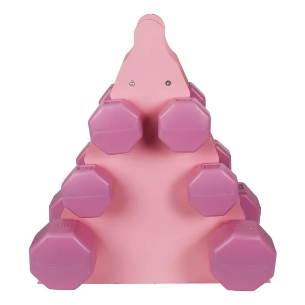 Psspor 3 Set Pembe Renk Dambıl Seti + Stand ( 2 Adet 1kg - 2 Adet 2kg - 2 Adet 3kg + Stand) - Görsel 2