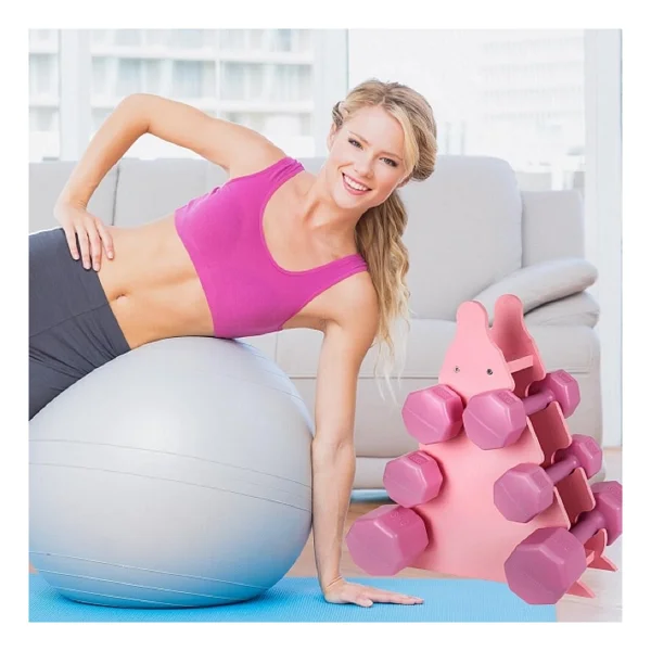 Psspor 3 Set Pembe Renk Dambıl Seti + Stand ( 2 Adet 1kg - 2 Adet 2kg - 2 Adet 3kg + Stand) - Görsel 5