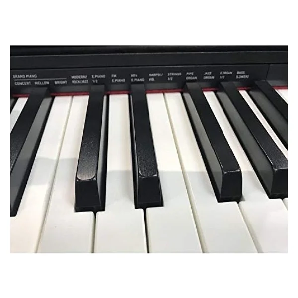 Casio Privia Px-770 Taşınabilir Dijital Piyano - Görsel 9