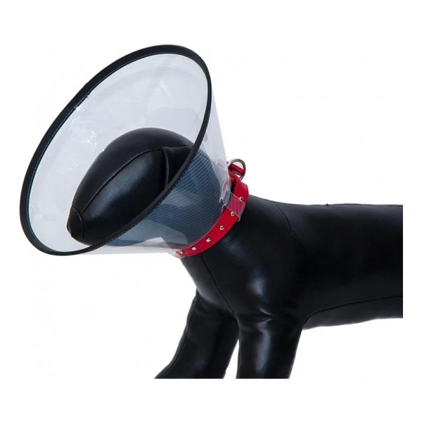 Eastland Elızabeth Dayanıklı Yakalık 10 Cm - Görsel 3