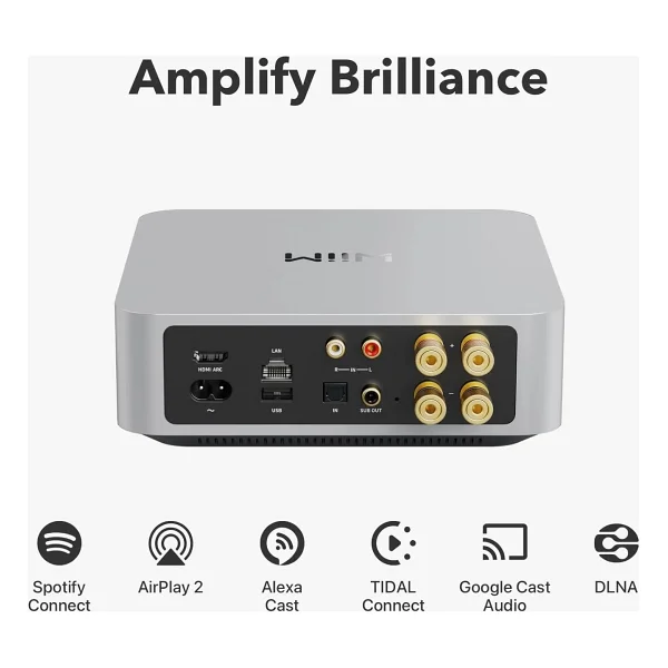 Wiim Amp Amplifikatör - Görsel 2