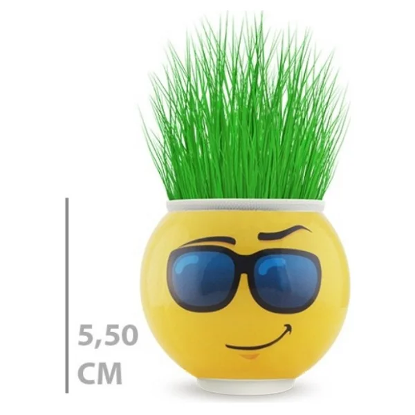 Ttt Çim Adam Saksı Emoji Figürlü 1 Adet - Görsel 3