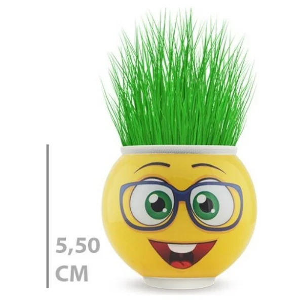 Ttt Çim Adam Saksı Emoji Figürlü 1 Adet - Görsel 2