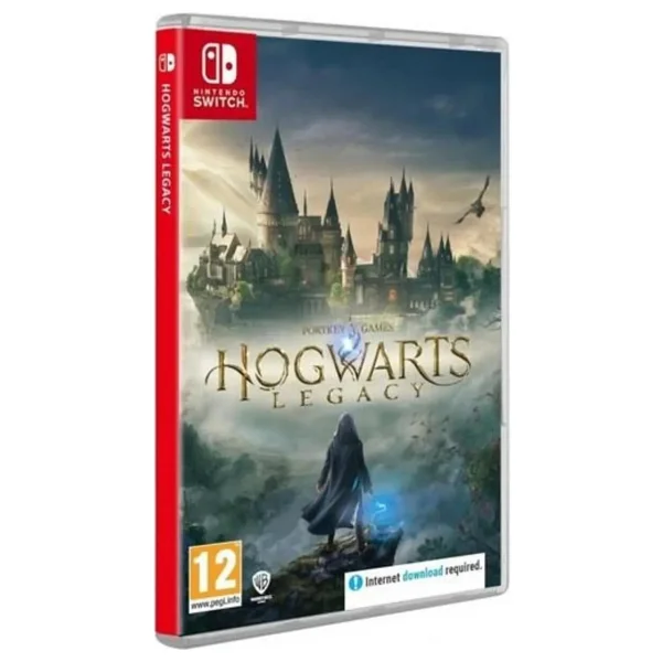 Nintendo Switch Hogwarts Legacy Oyun - Görsel 2