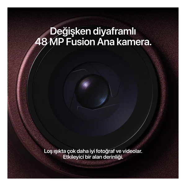 iPhone 18 Pro Max 256 GB Buzul Rengi - Görsel 5