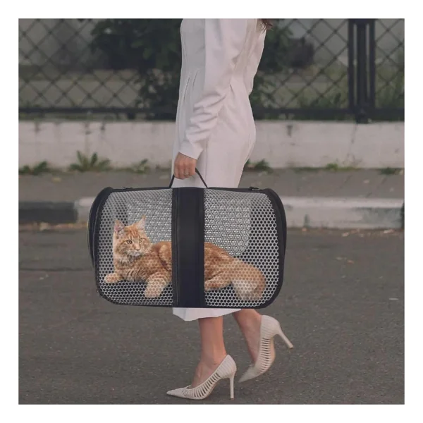Bypet Havalandırmalı PVC Dokulu Kedi Taşıma Çantası, Uçak Seyahatine Uygun - Görsel 7
