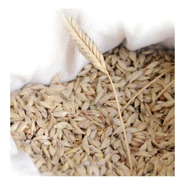 Devrekani Deva Siyez Buğdayı (Kabuklu) 10 Kg. - Görsel 3