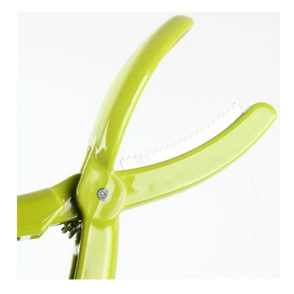 Buffer Kestane Çizici Chesnut Cutter Çok Renkli - Görsel 2