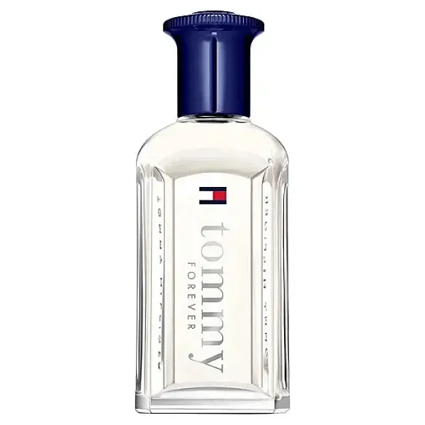 Tommy Hilfiger Tommy Forever Edt 100 Ml Erkek Parfüm - Görsel 2