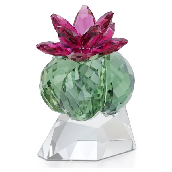 5426978 Swarovski Ev Dekorasyonu Crystal Flowers:Bordeaux Cactus - Görsel 2