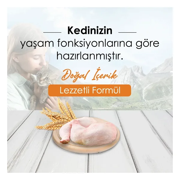 New Cat Tavuklu 15 kg Yetişkin Kedi Maması - Görsel 2